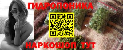 дмт Новокубанск