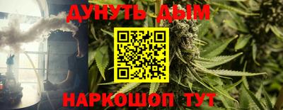 дмт Новокубанск