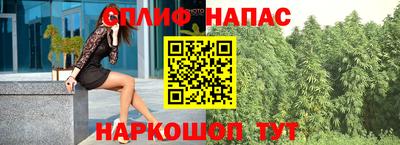 дмт Новокубанск