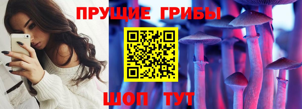 Ртищево  Псилоцибиновые грибы Magic Shrooms  Вход с VPN 
